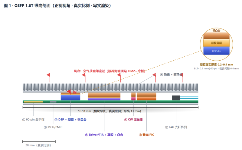 OSFP 1.6T 光模块纵向结构剖面